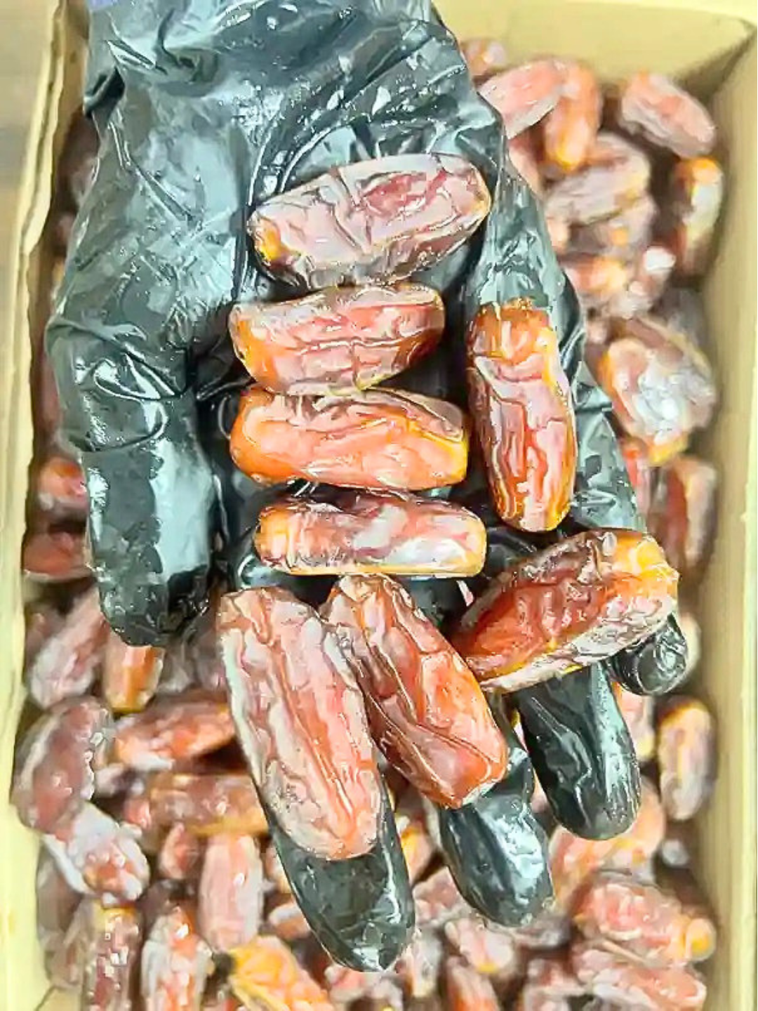 Mabroom Khajoor Saudi Dates Online Pakistan | Premium Quality