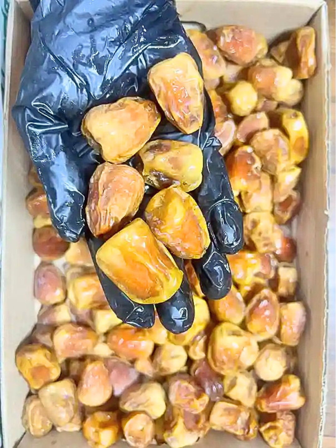 Premium Sukkari Khajoor from Saudi Arabia – Fresh Golden Dates in Pakistan
