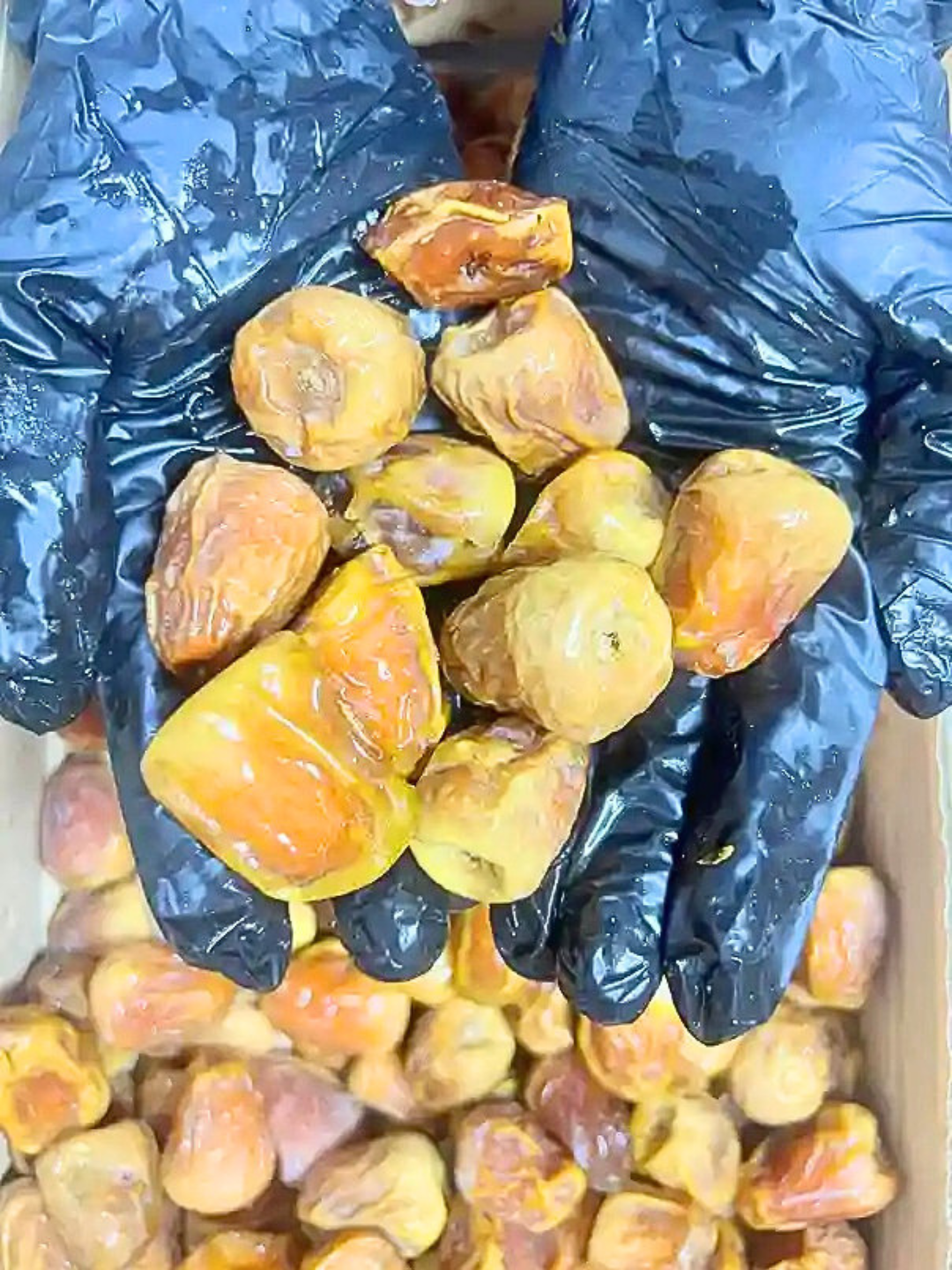 Premium Sukkari Khajoor from Saudi Arabia – Fresh Golden Dates in Pakistan